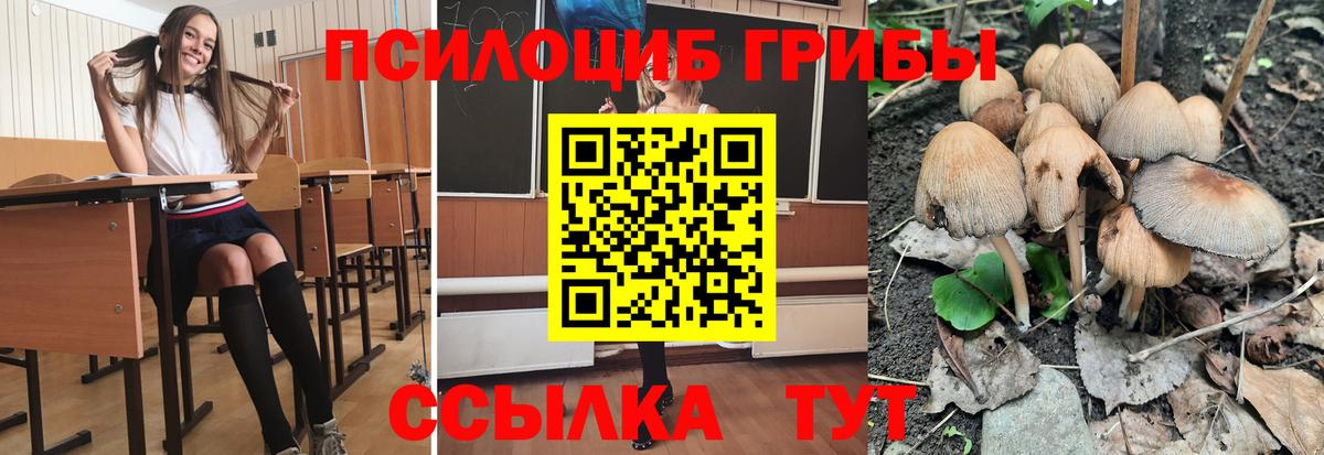 Галлюциногенные грибы Psilocybine cubensis Донецк