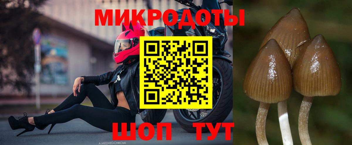 Псилоцибиновые грибы Psilocybe  Вход с VPN  Донецк 