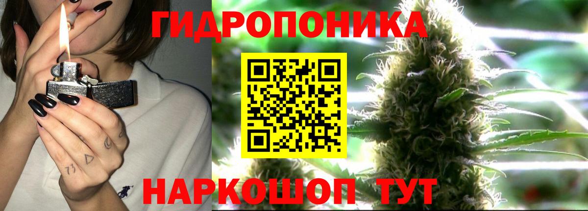 Шишки марихуана план Донецк